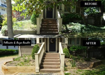 Pictures of a garden before and after renovation.