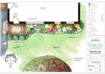 An image of a bird's eye view of a garden plan hand-rendered in colour.