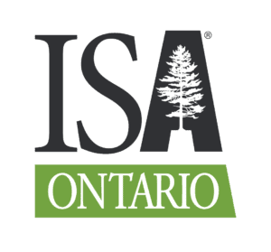 ISA Logo
