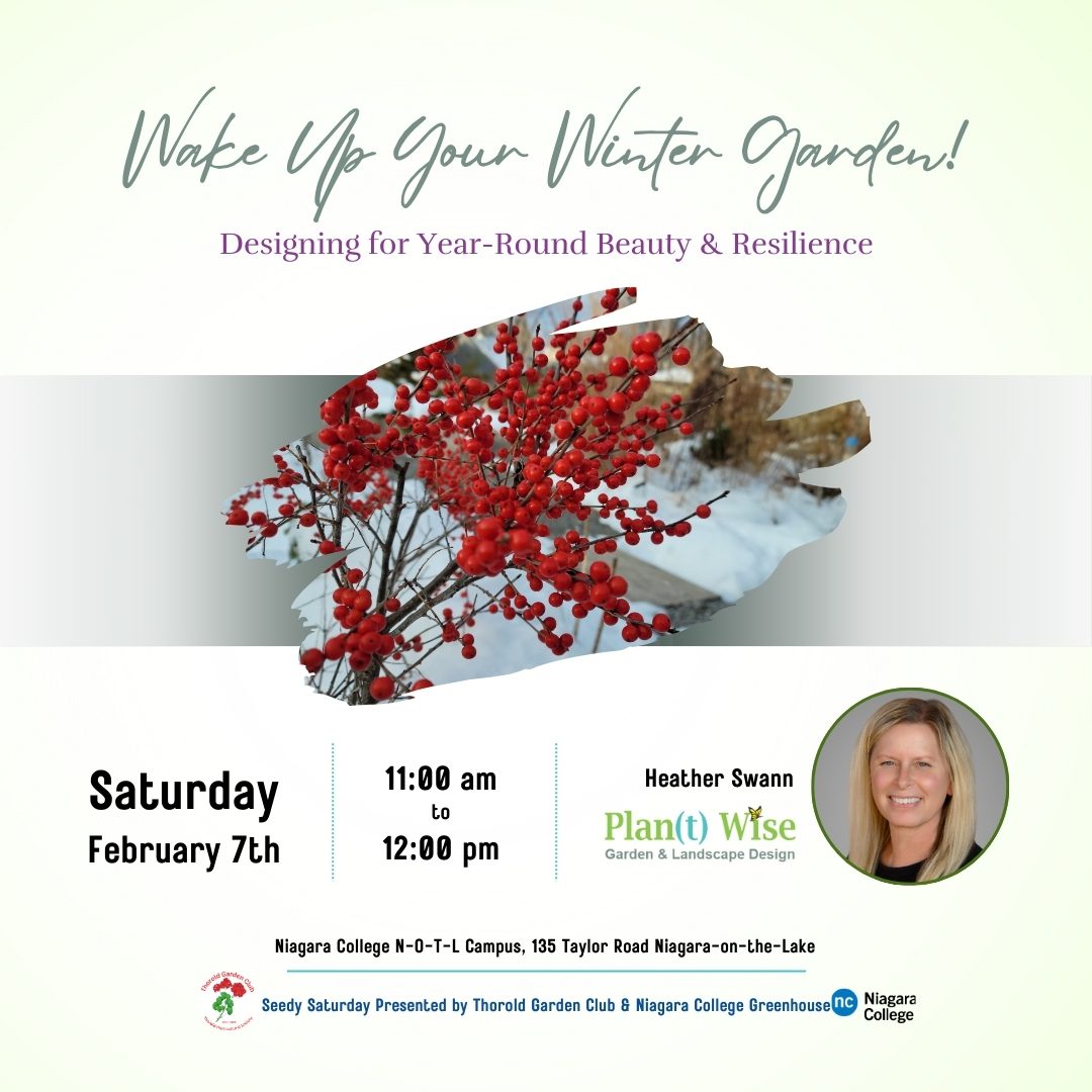 Presentation slide for Thorold Garden Club Seedy Saturday featuring Heather Swann of Plan(t) Wise Design presenting 'Wake Up Your Winter Garden! Designing for Year-Round Beauty & Resilience,' 11am February 7, 2026, at Niagara College Niagara-on-the-Lake campus Greenhouse.